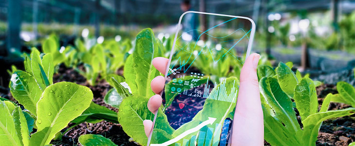 Tecnologia na Agricultura - Metal Transformação Digital